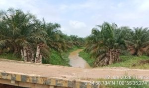 IMG-20260521-WA0136